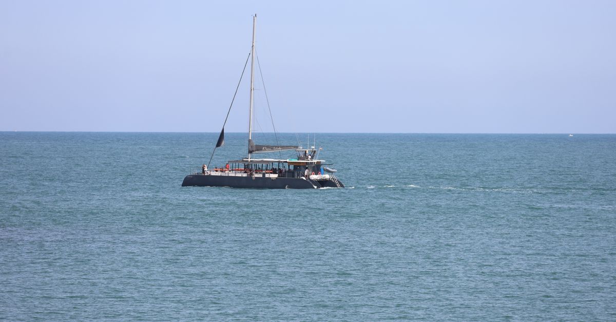 A white catamaran with two hulls sits in calm water in front of a steep, golden-yellow rock coastline