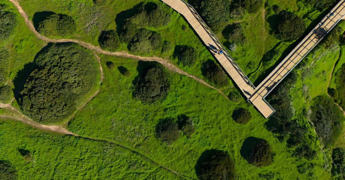 Aerial view of a wide wooden walkway curving across green coastal scrub
